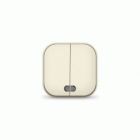 Слон. кость