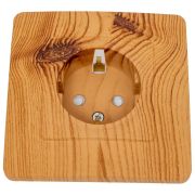 Розетка 1-м СП Blanca 16А IP20 250В с заземл. защ. шторки ясень SE BLNRS001115