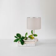 SLE300514-01 Прикроватная лампа Никель/Серый, Серебристый E27 1*40W BRESCIA