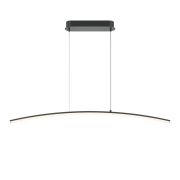 Подвесной светильник Maytoni MOD243PL-L18BK