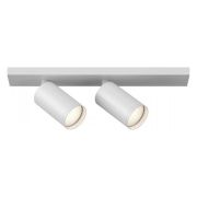 Потолочный светильник Technical C051CL-U-2W