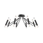 Потолочный светильник Maytoni MOD620CL-16B