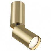 Потолочный светильник Technical C051CL-01G