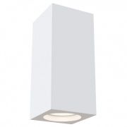 Потолочный светильник Technical C006CW-01W